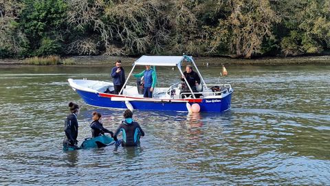 Operativo para rescatar a un delfín que varó en el molino de mareas de As Aceas
