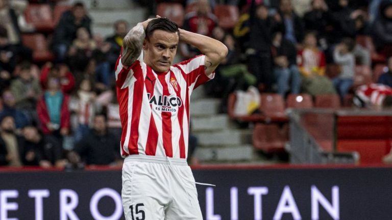 Roque Mesa