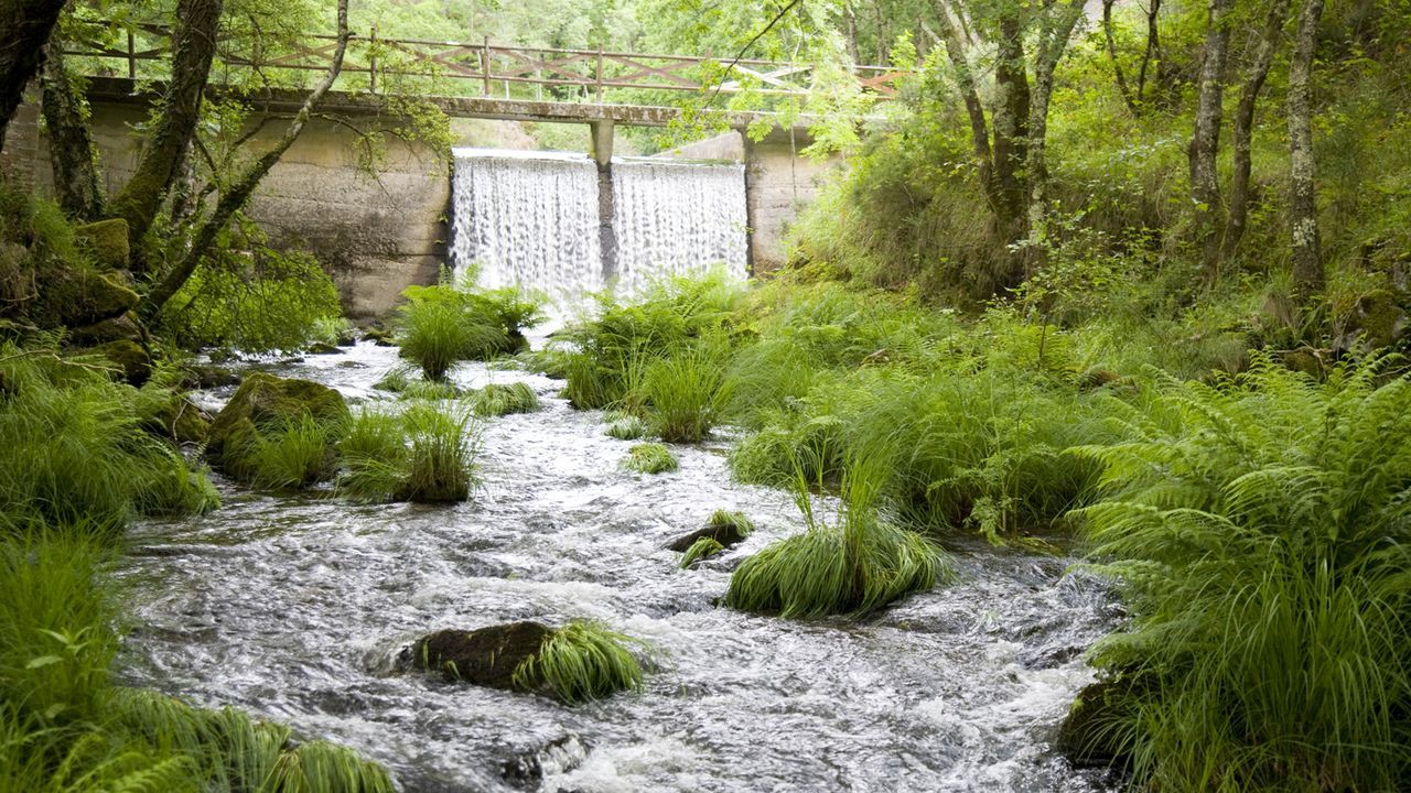 Im�genes del Camino en una densa niebla en Gonzar.Vista de la zona de Sete Mu��os, en los alrededores de Guitiriz