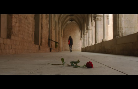 Un plano de uno de los proyectos de Xabier P�rez en��La Rosa de Charlot�