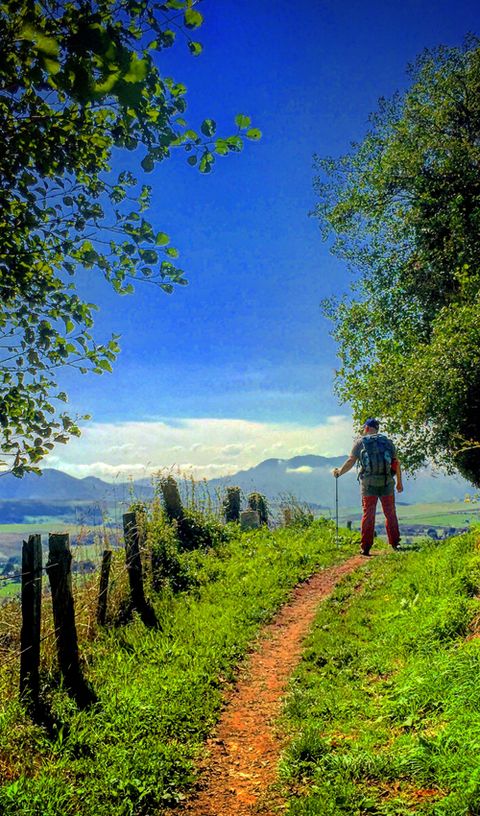 Un peregrino se detiene a contemplar el paisaje en un trecho del Camino