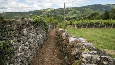 Un camino tradicional entre muros de piedra 