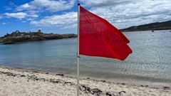 Bandera roja por la presencia de medusas en la playa de Cubelas, en Cervo