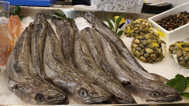La merluza del Atlántico ibérico elige el norte de Galicia para criar
