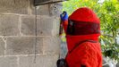 Un operario neutralizando un nido en la comarca de O Salns