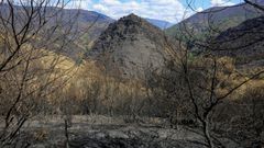 Montes de O Courel quemados en los incendios del pasado julio, en una vista desde la carretera de Campodola a Vilar.