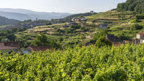 A Arnoia, vista del valle del Arnoia.