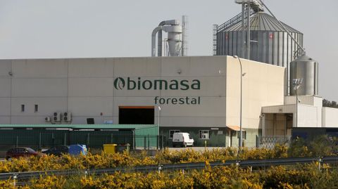 Biomasa Forestal, en foto de archivo