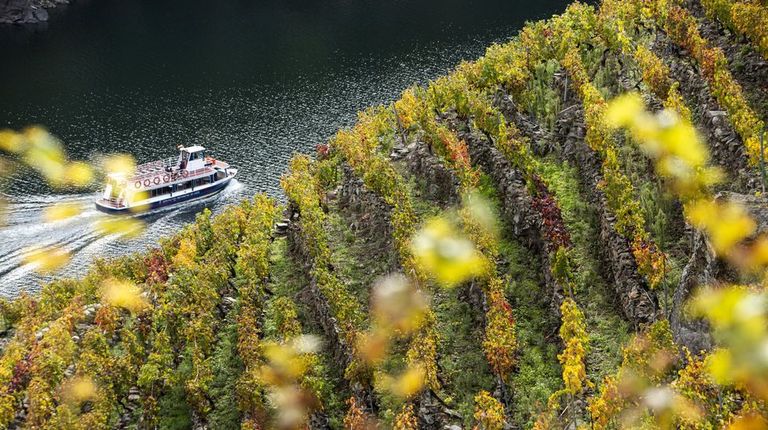 Vino y catamarán, lo que más busca en la red el turista de la Ribeira Sacra