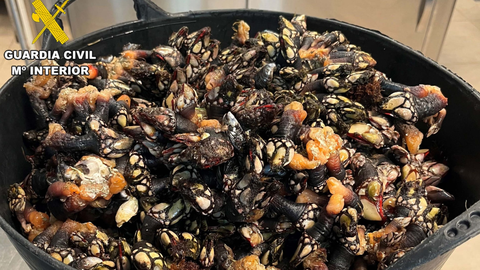 Percebes descomisados