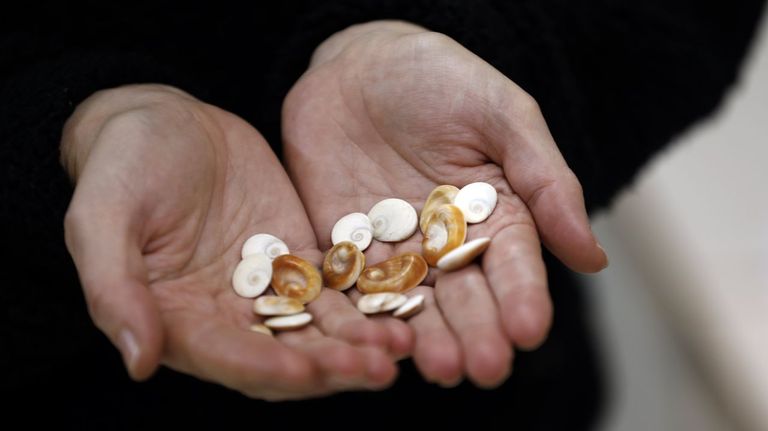 Los llamados «bíteres» que regalará como joya natural la hostelería de Barreiros y que tienen leyenda propia