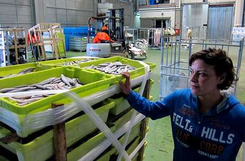 La mercanca decomisada est almacenada en las instalaciones de Frigorficos Albeda. 
