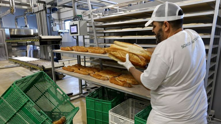 La panadería artesana de Pontevedra que ya está entre las más grandes de España: obrador de vanguardia y 180 trabajadores de medio mundo