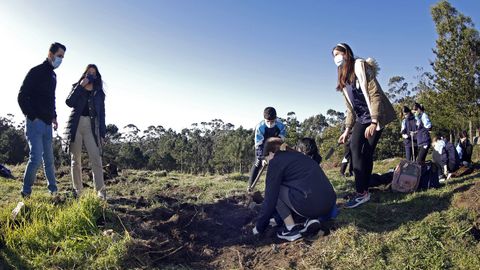 PLANTACIN DE CASTAOS POR PARTE DE ALUMNOS DE LOS COLEGIOS O GRUPO Y BAYN EN EL PARQUE PERIURBANO DE SAN ROQUE.