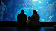 Acuario de Gijn