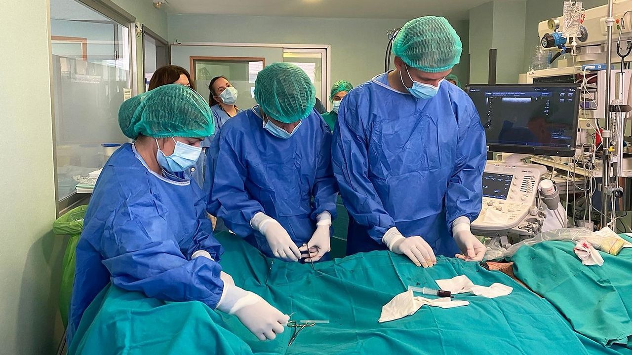 Últimas noticias sobre Donación de órganos. La Voz de Galicia