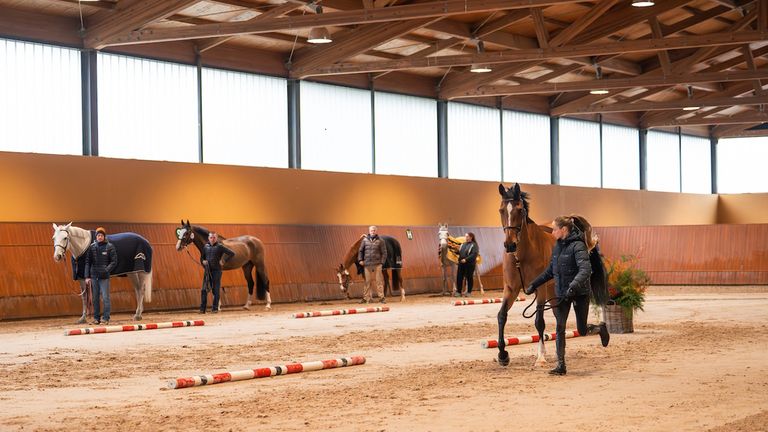 El CSI5*W A Coruña levanta el telón