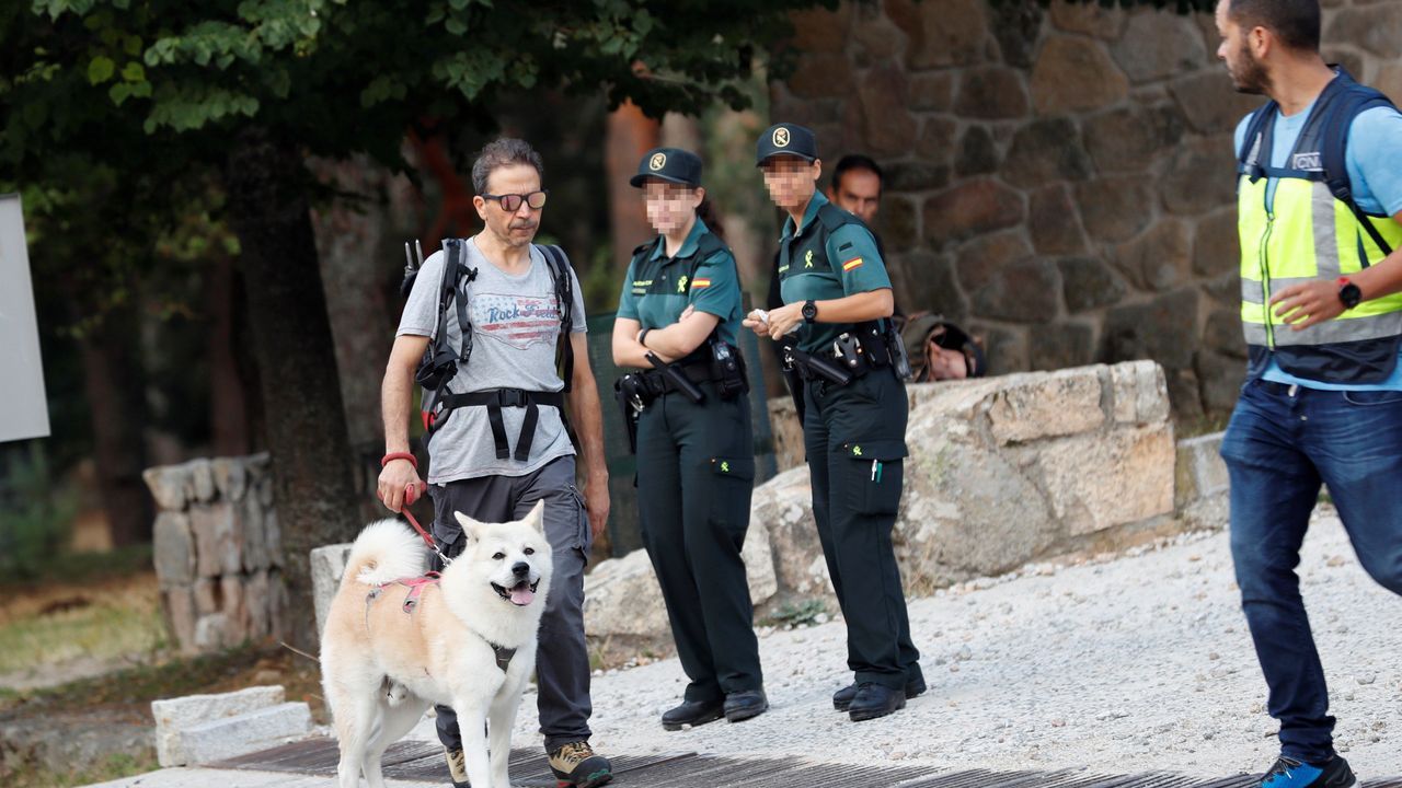 Un voluntario, con su perro, antes de iniciar la jornada de búsqueda este lunes
