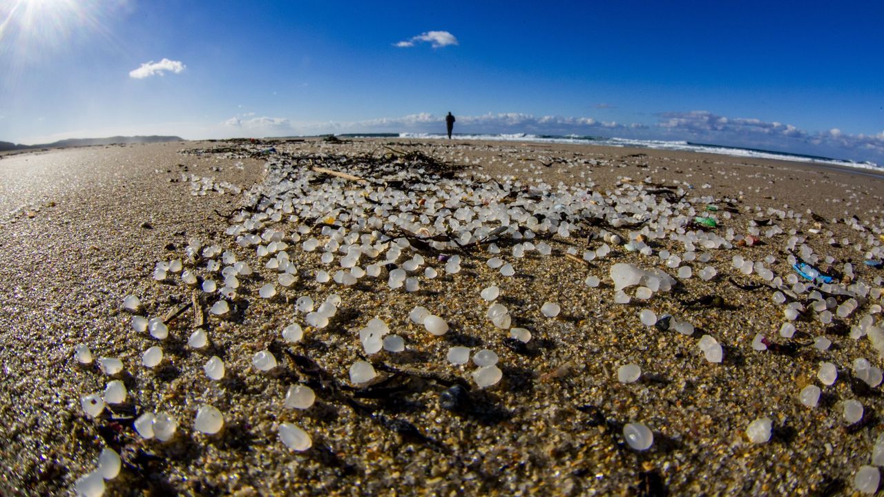 Dos trabajadores heridos al implosionar un silo de aceite de palma en el puerto de Vigo que dejó un vertido.Una marea de los 26.000 kilos de pélets de plástico que perdió el mercante Toconao salpicó a finales del 2023 y principios del 2024 playas gallegas, como esta de Fisterra, y de Asturias, Cantabria y País Vasco 