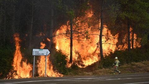 El incendio de O Irixo ha obligado a Renfe a suspender la circulación de los trenes entre Ourense y Santiago