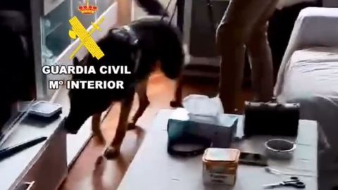 Captura de vídeo del registro de la Guardia Civil en el piso de Culleredo en el que apareció el fentanilo.