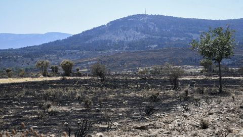 Vista de un paraje quemado tras el incendio de Navafría