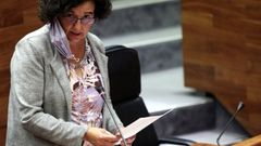 La consejera de Cultura del Principado en la Junta General  .Berta Pi��n