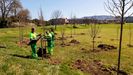 Plantación de árboles en el campus de Gijón
