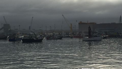 Siguiendo los bancos de bocarte, barcos de distintas comunidades formaron colas el pasado agosto en el puerto de A Coruña para descargar sus capturas
