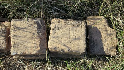 Excavacióna arqueológica en una villa romana en Coea, Castro de Rei