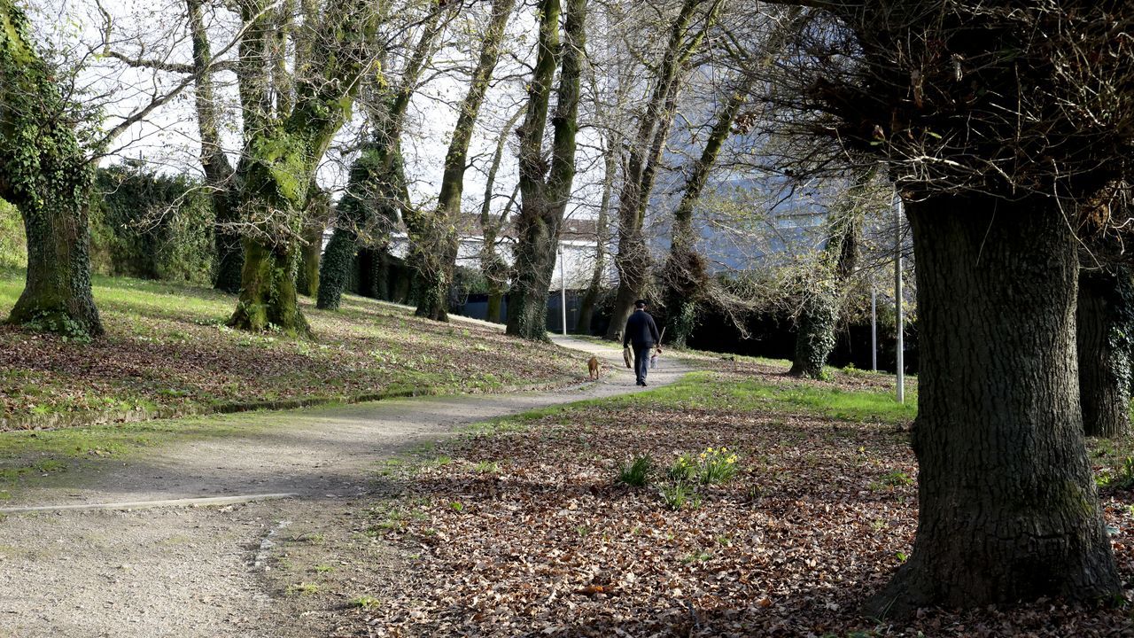 Carballeiras compostelanas.Playa de Lumeb, en Ferrol, elegida por The Times como una de las mejores del pas