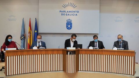 Los tres rectores comparecieron este jueves en la comisin para la reactivacin econmica de Galicia creada en el Parlamento
