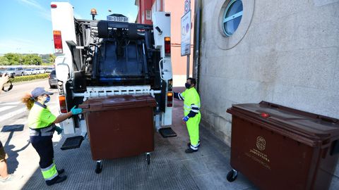 Recogida de contenedores marrones del plan Composta en el centro de Pontevedra