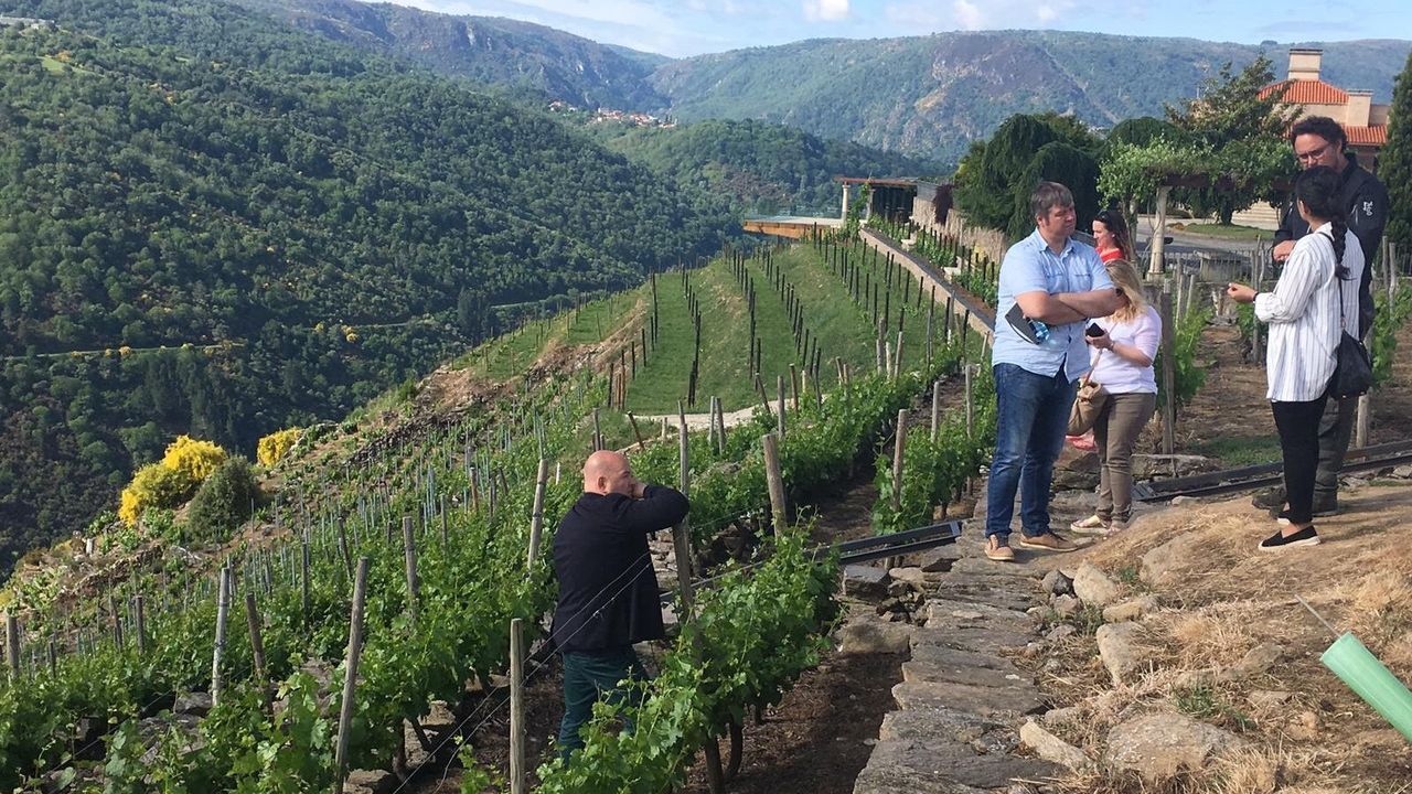 Serrado manual de troncos, una tcnica tradicional de la sierra de O Courel.Viedos de la Ribeira Sacra