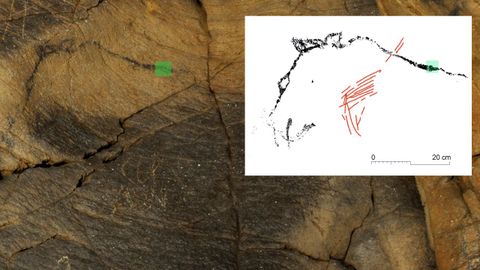Una de las pinturas (a la izquierda) muestra el perfil de un oso. A la derecha, un dibujo realizado por los arqueólogos para apreciar mejor la figura