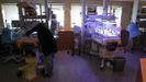La uci de neonatología del Hospital Clínico de Santiago ingresó bebés con complicaciones de otros hospitales gallegos