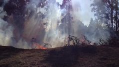 Incendio Santiago