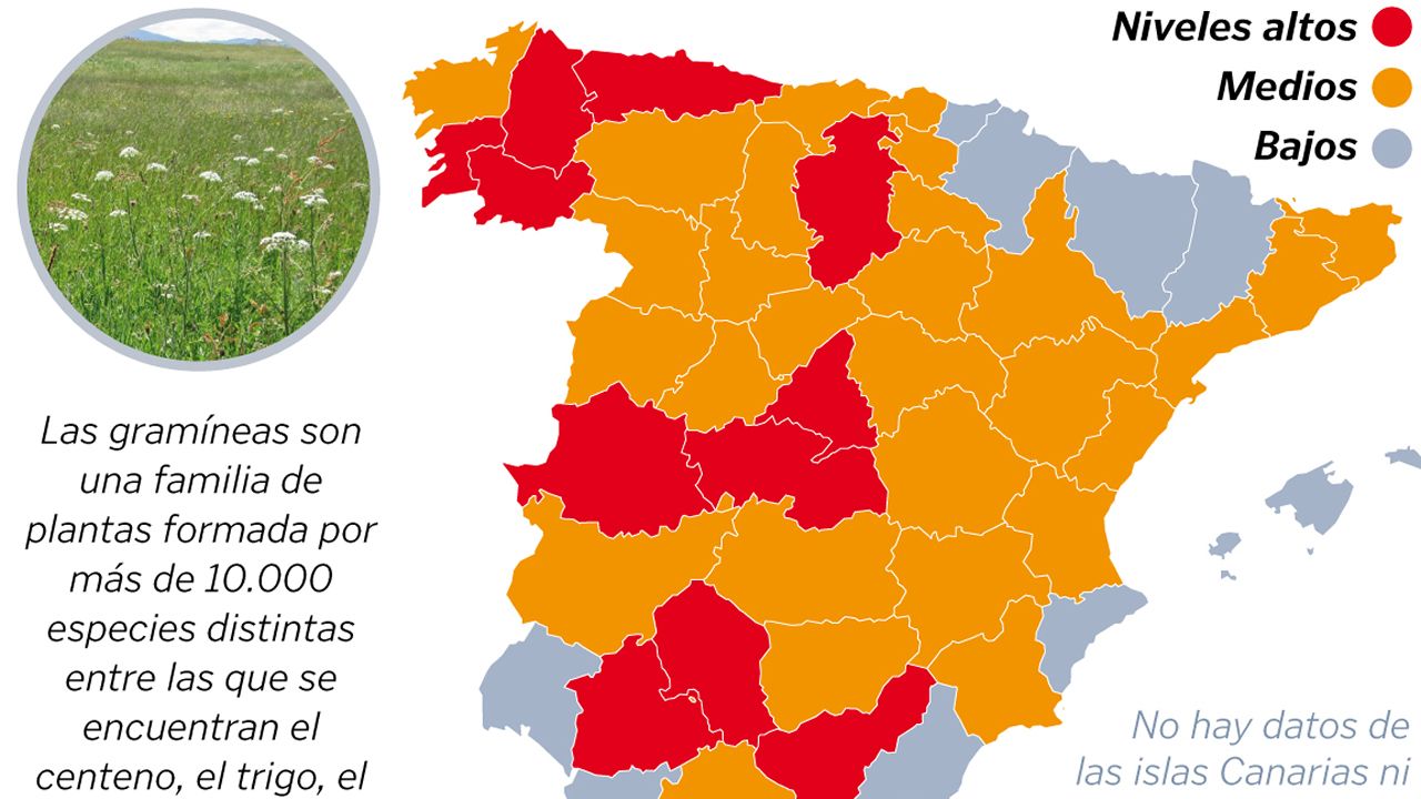 El polen de gram�nea en Espa�a