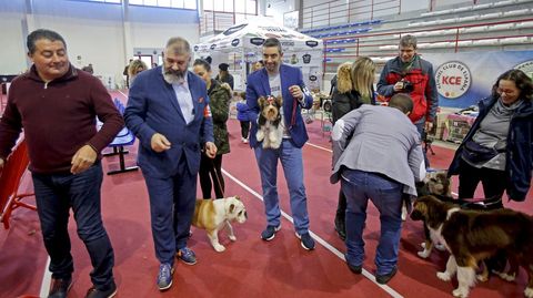 III Exposicin Internacional Canina de Ponte Caldelas