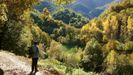 Diez propuestas para un baño de bosque en Galicia