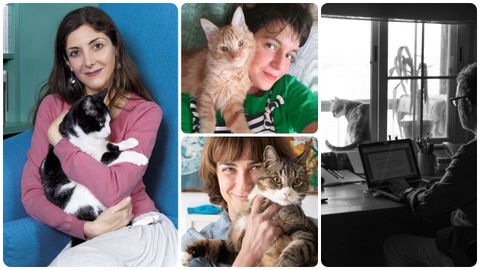 Los escritores Espido Freire, Almudena Sánchez, Sara Mesa y Eloy tizón, del selecto club de los «adoptados por gatos». 