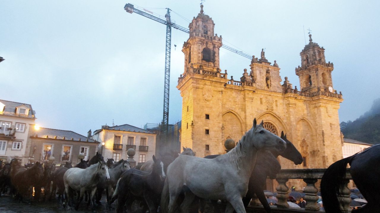 Los caballos pasarn por el centro de Mondoedo hacia el campo de la feria el lunes.