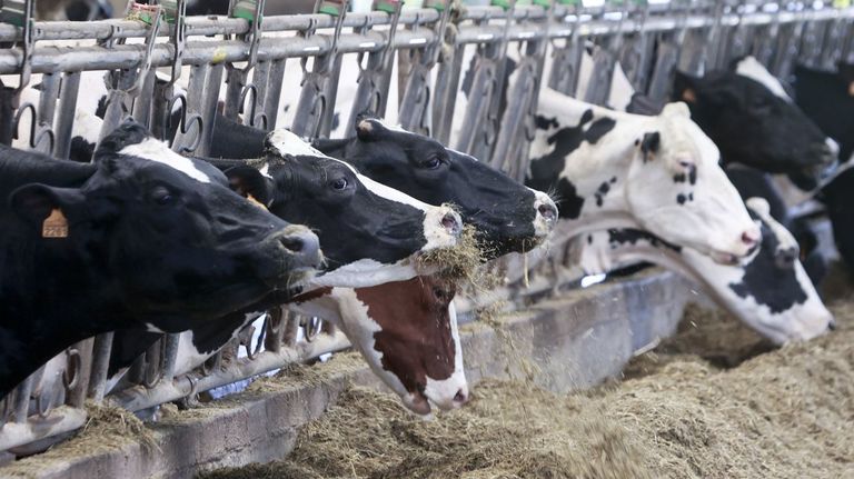 Rueda alerta del riesgo que supone el recorte de fondos de la UE para el campo y la pesca