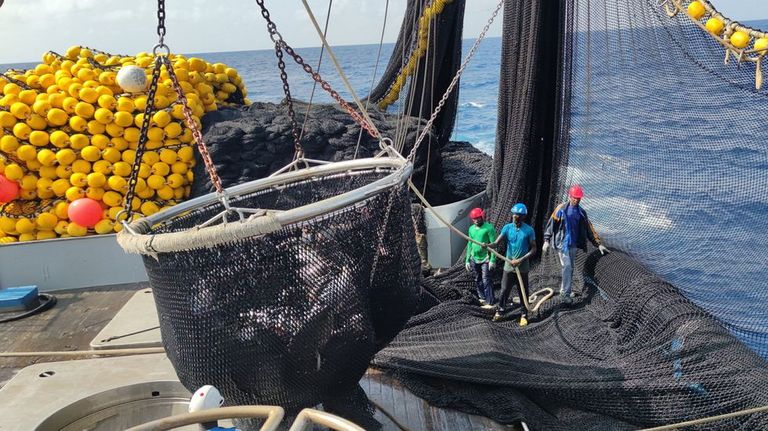 Pesca de atún, en foto de archivo