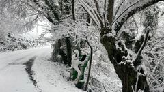 Las imágenes de la nevada que deja el temporal en Lugo