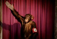 <span lang= es-es >Antecedente</span>. Rudolph Herzog, autor del libro, rod en el 2006 el documental Heil, Hitler, el cerdo est muerto, en el que el dictador alemn ya era objeto de burla en escenas como esta.  