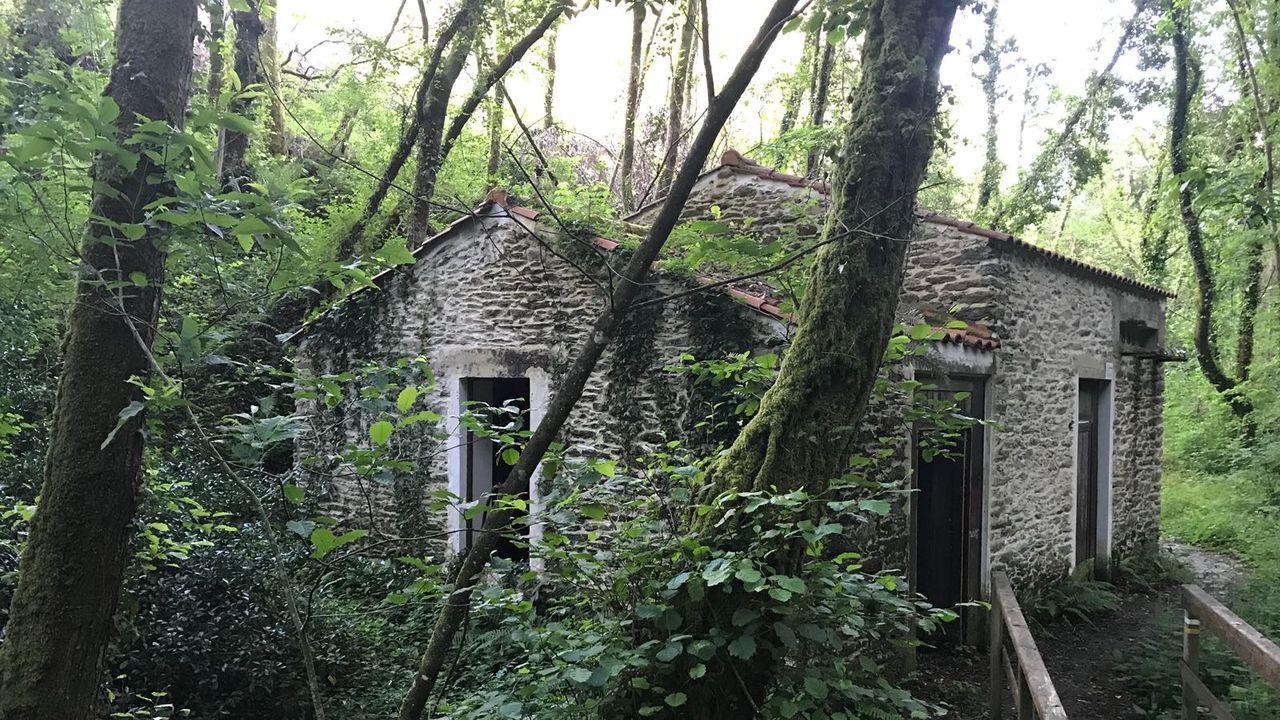 San Vicente volvi a convertir el agua en vino.Los molinos del ro Lambre y el ro do Medio, en Vilarmaior, sern el escenario de Muinhada.