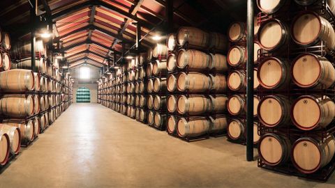 Los vinos de Viña Pomal son de elaboración clásica, pero en la bodega se utilizan los medios más modernos en el campo de la tecnología