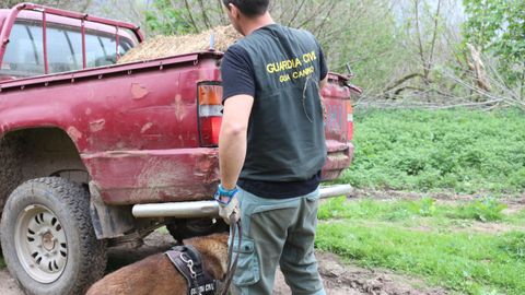 Inspecci�n de la unidad canina del Seprona