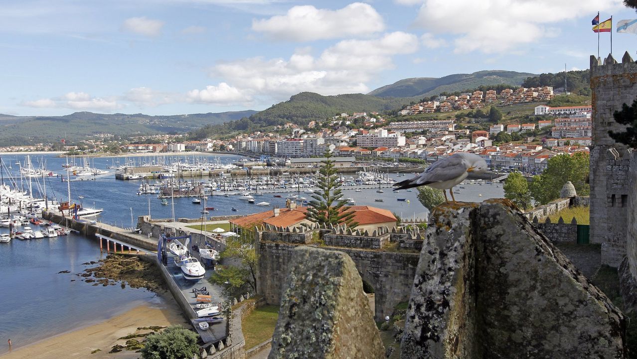 Mazo de Meredo.Castillo de Monterreal, Baiona.